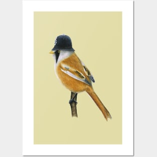 Bearded reedling Posters and Art